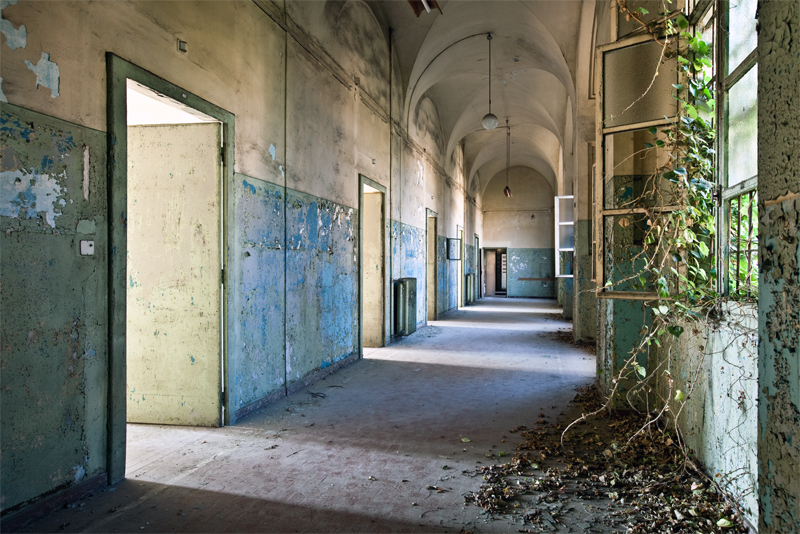 photo shows an abandoned corridor with ivy growing in from the open window, paint is peeling,