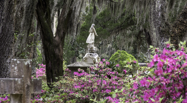 photo shows a grave statue surrounded by pink flowers and blooming bushes
