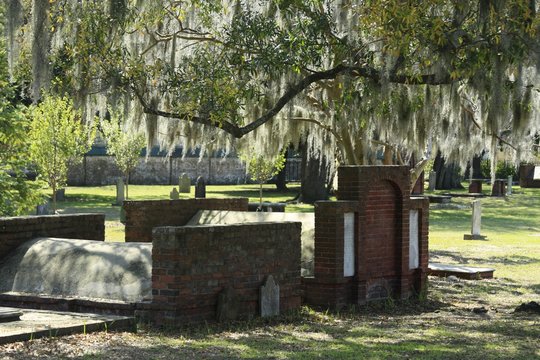 photo shows a few raised graves underneath a tree covered in hanging spanish moss
