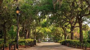 photo shows a park trail in savannah, lined with huge oak trees and streetlamps