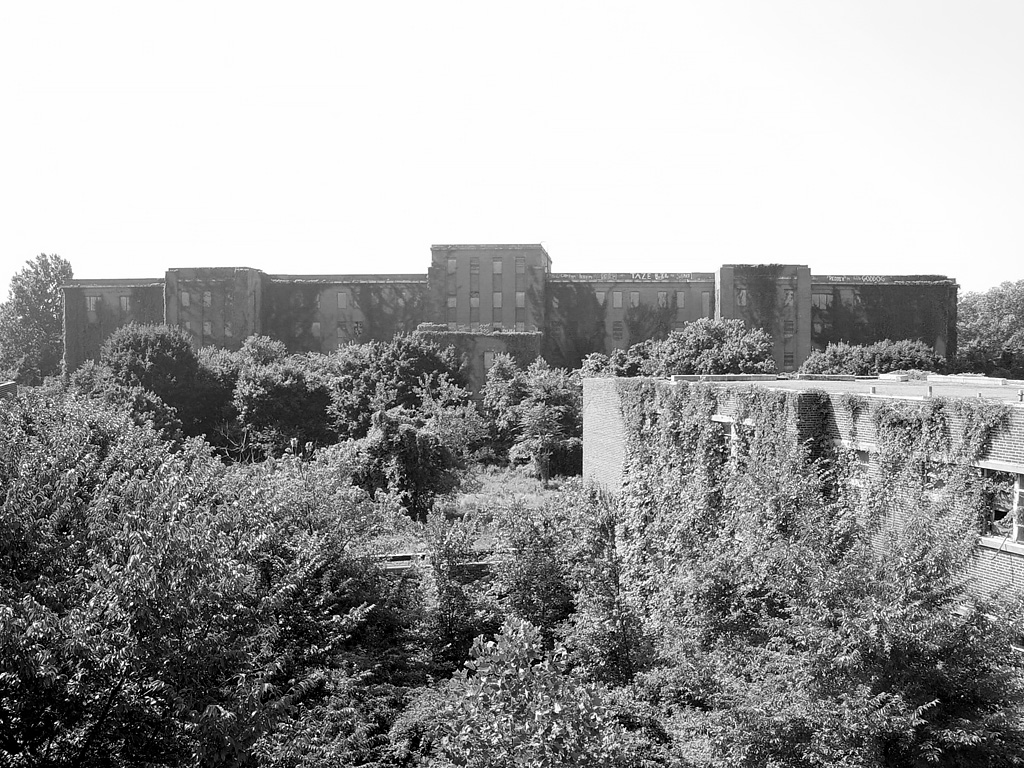 photo shows the scrubby grounds of byberry hospital, with the building hulking in the distance. 