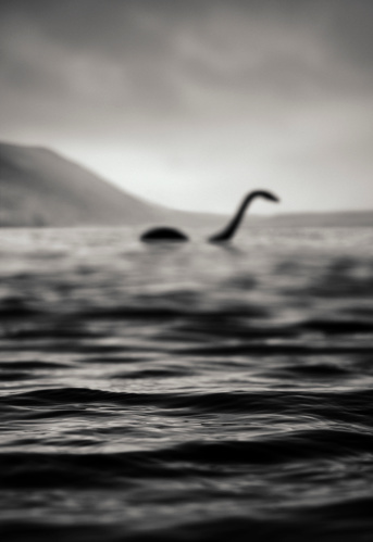 photo shows the head of a cryptid nessie sticking out of still water
