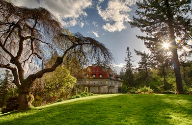 photo shows the pittock mansion with sunshine coming through its ancient trees