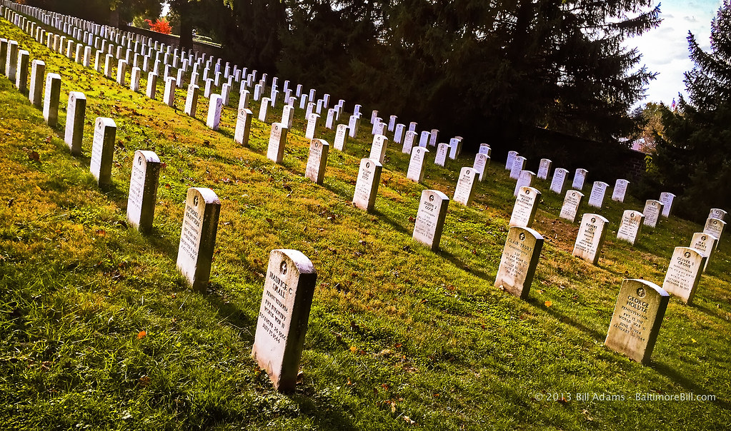photo shows rows and rows of headstones 
