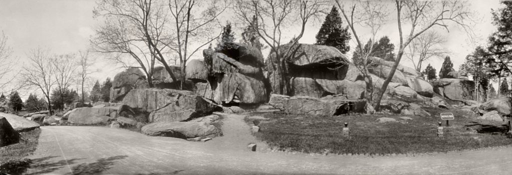 photo shows large boulders all stacked atop one another with a few trees growing out of them