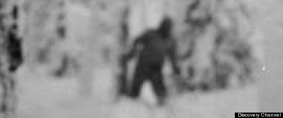Black and white blurry photo of a creature in the woods