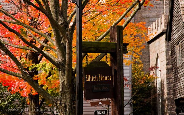 Fall image of a lush tree with the sign of the Witch House in front