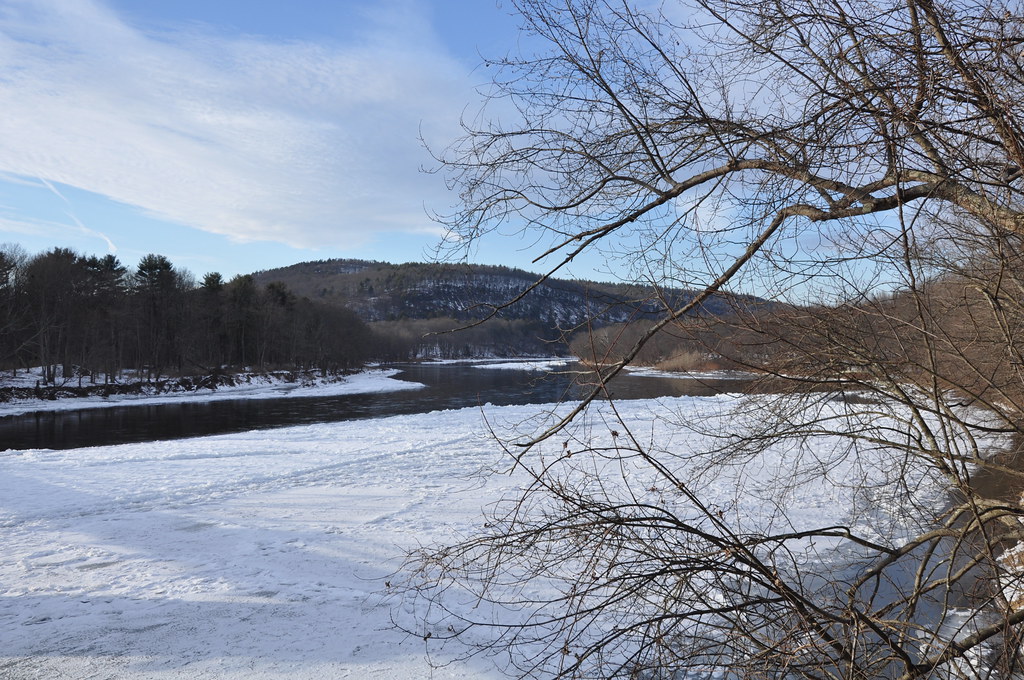 A photo of a frozen river. Bare, brown branches from a tree are in the foreground. A mountain in the background 