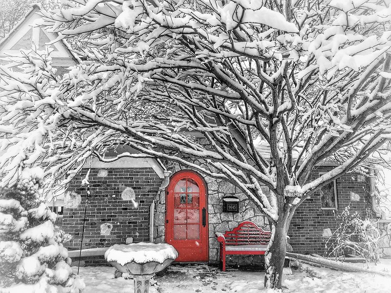 Snow scene with large snow covered tree and red door and bench